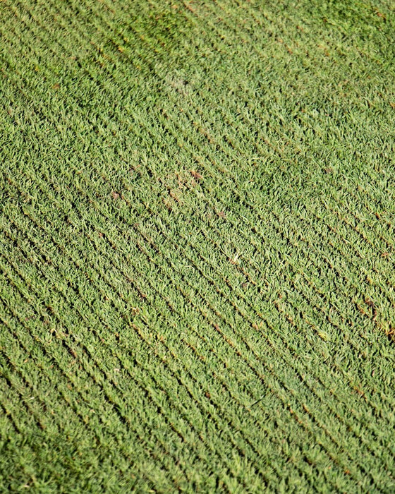 Turf Tidy 3000