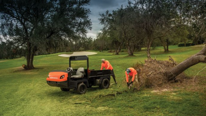 Cushman Truckster XD